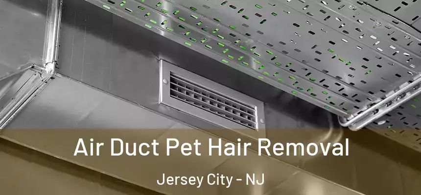 Air Duct Pet Hair Removal Jersey City - NJ