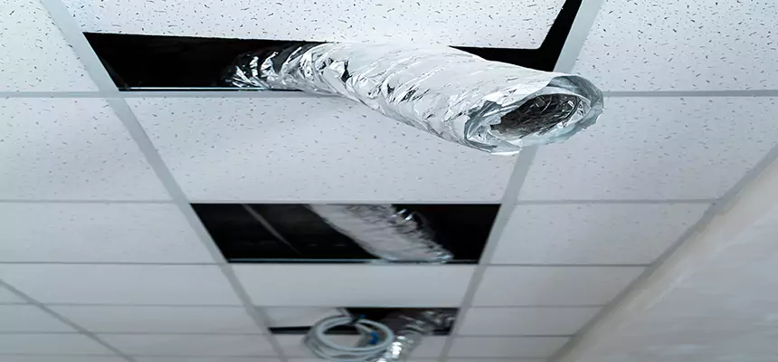 Our Air Duct Pet Hair Removal Services in Jersey City, NJ