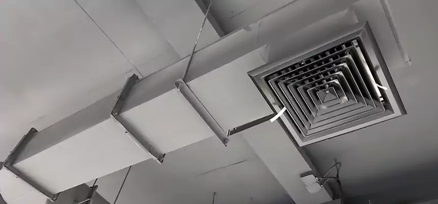 Our Pest Removal From Ducts Services in Jersey City, NJ