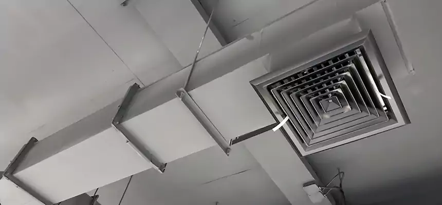 Our Rodent Droppings In Vents Services in Jersey City, NJ