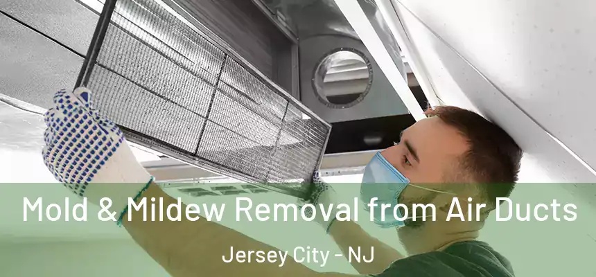 Mold & Mildew Removal from Air Ducts Jersey City - NJ