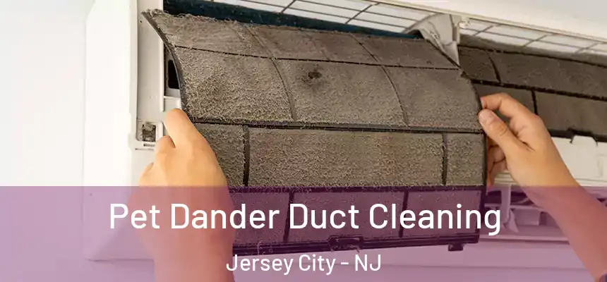  Pet Dander Duct Cleaning Jersey City - NJ