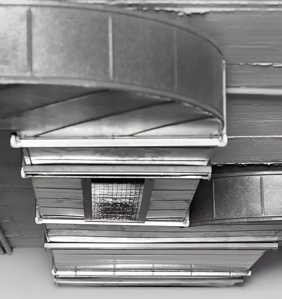 Professional Air Duct Pest Removal in Jersey City, NJ