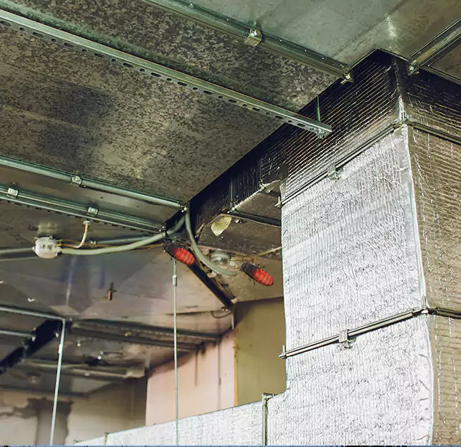 Why Homeowners & Businesses Trust Us Jersey City, NJ?