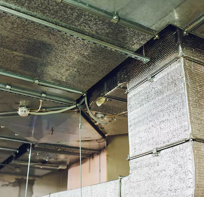 Why Homeowners & Businesses Trust Us in Jersey City, NJ?